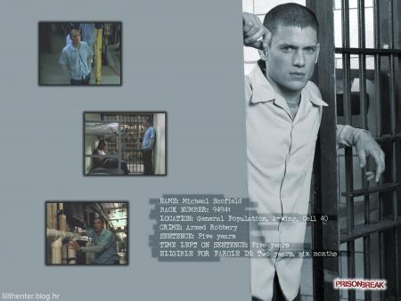 wentworth miller
